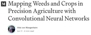 Mapping Weeds and Crops in Precision Agriculture with Convolutional Neural Networks